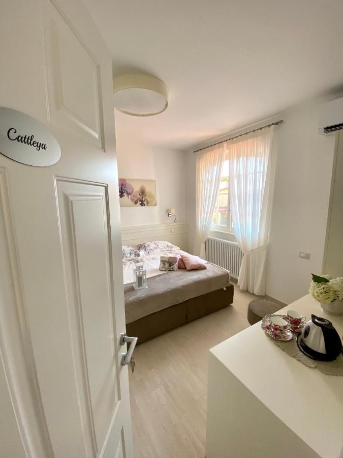 Bellaisa Bed & Breakfast Camaiore Kültér fotó