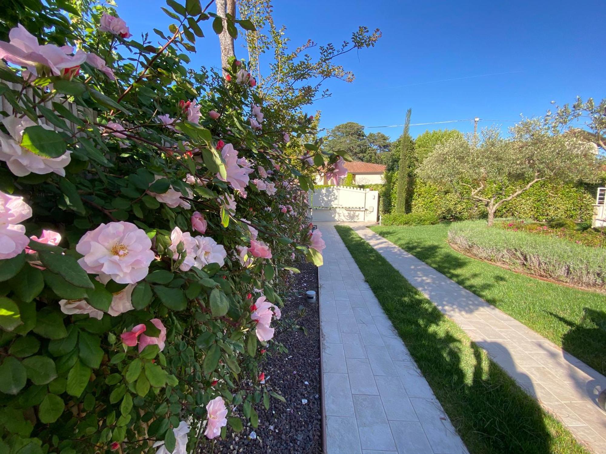 Bellaisa Bed & Breakfast Camaiore Kültér fotó
